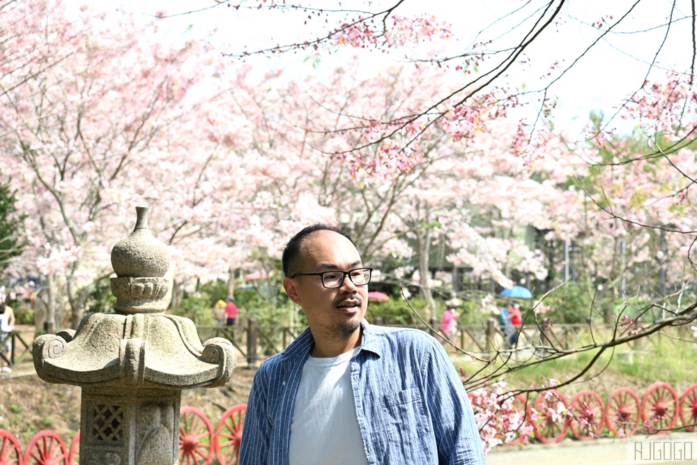 高雄花旗木 六龜神威天臺山道場 每年3~4月花季登場