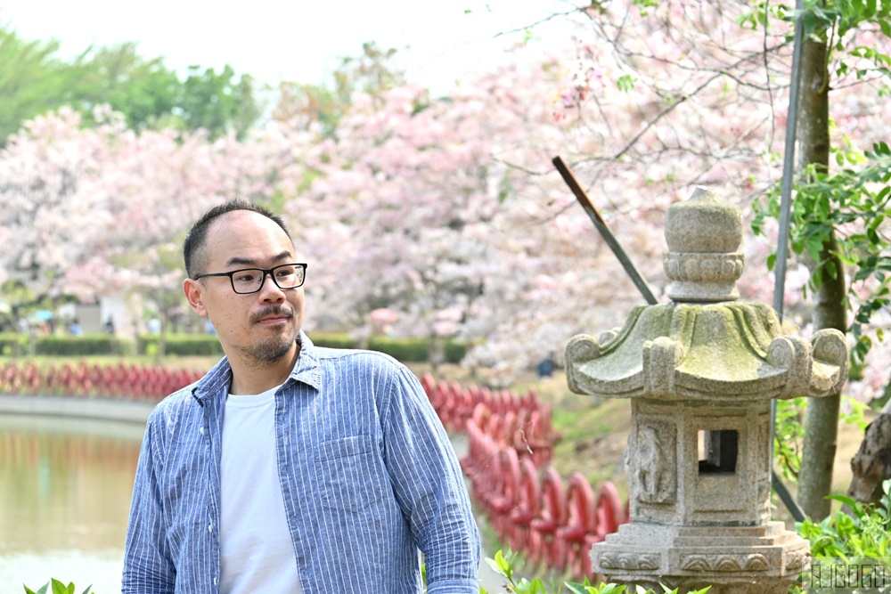 高雄花旗木 六龜神威天臺山道場 每年3~4月花季登場