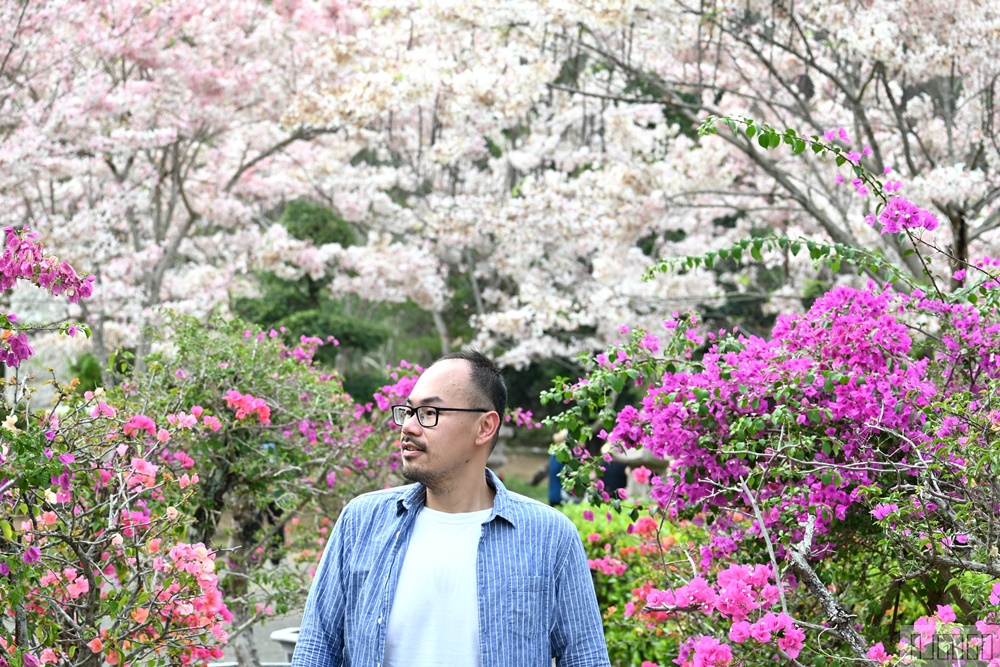 高雄花旗木 六龜神威天臺山道場 每年3~4月花季登場