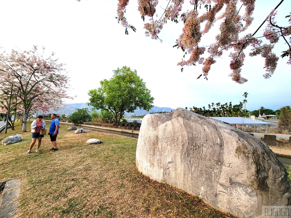 獅子頭水圳 高雄美濃花旗木 每年3~4月開花