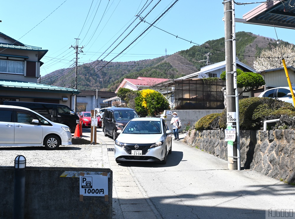 新倉山淺間公園展望台 忠靈塔、富士山、滿山櫻花