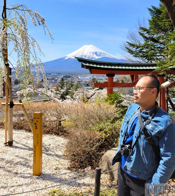 新倉山淺間公園展望台 忠靈塔、富士山、滿山櫻花