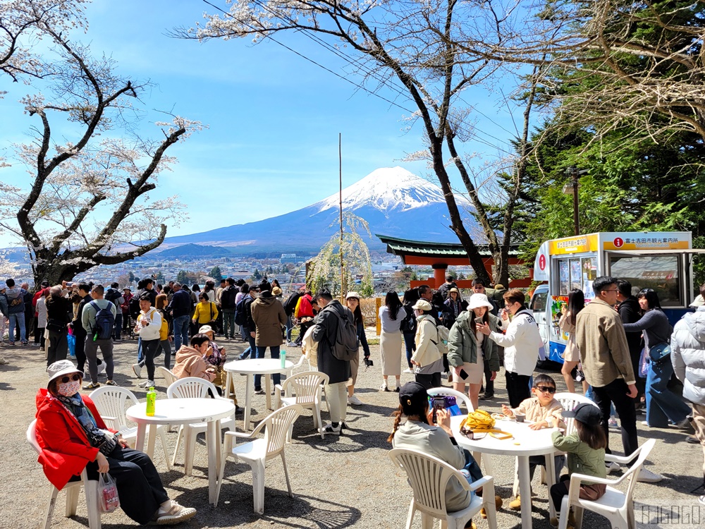 新倉山淺間公園展望台 忠靈塔、富士山、滿山櫻花