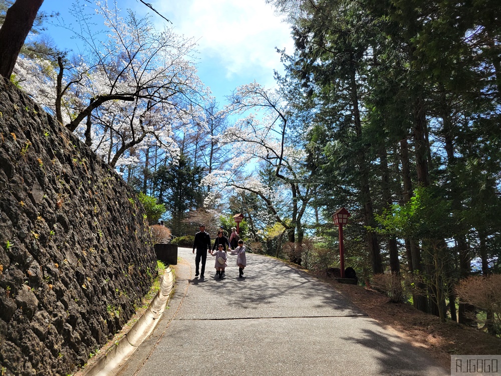 新倉山淺間公園展望台 忠靈塔、富士山、滿山櫻花