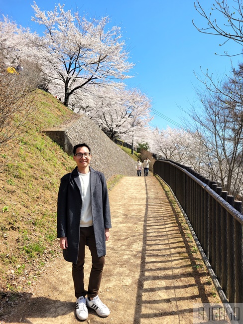 新倉山淺間公園展望台 忠靈塔、富士山、滿山櫻花