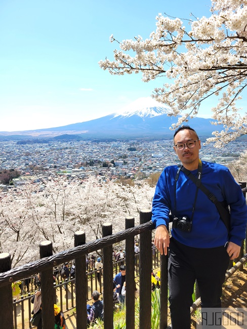 新倉山淺間公園展望台 忠靈塔、富士山、滿山櫻花