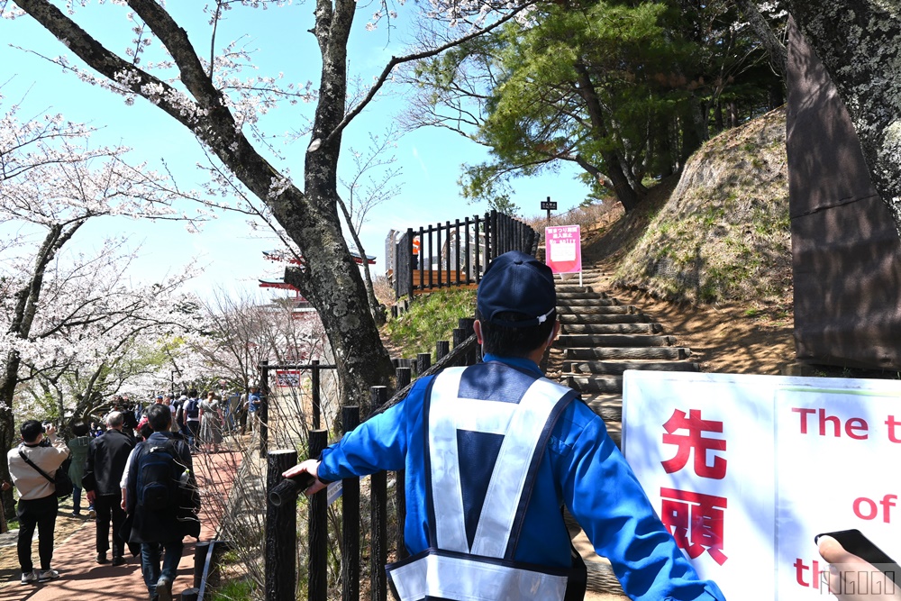 新倉山淺間公園展望台 忠靈塔、富士山、滿山櫻花