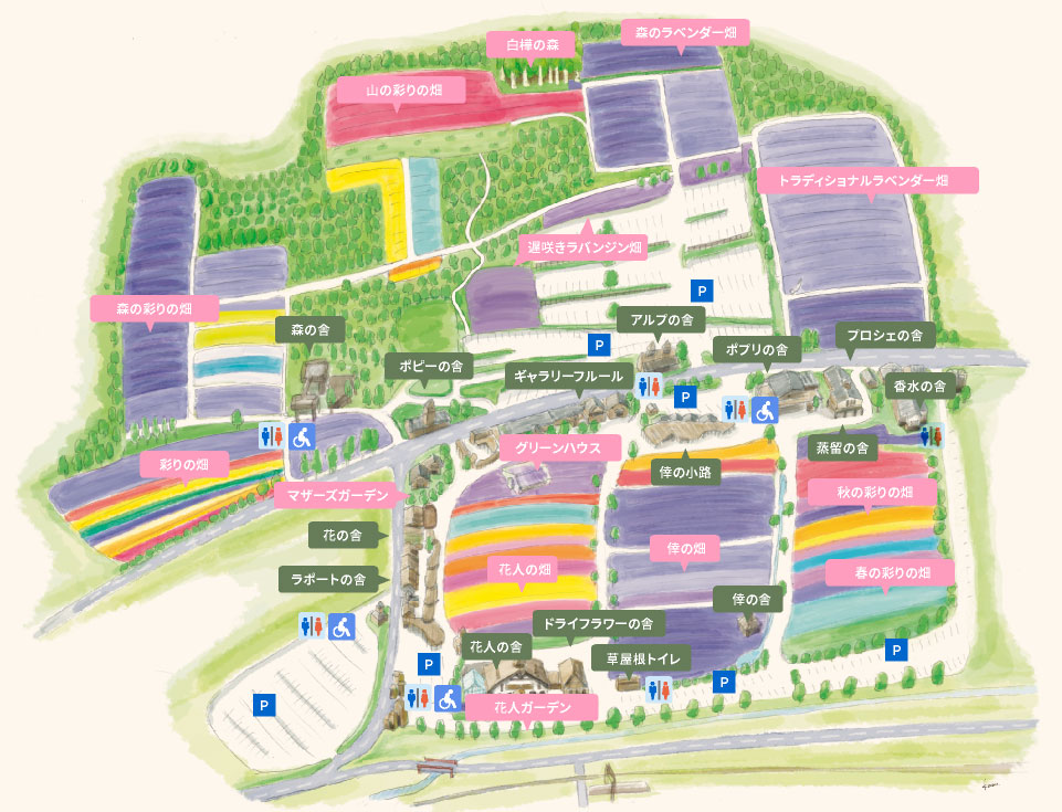 富良野富田農場 北海道自駕景點 薰衣草花田 薰衣草花期與開放時間