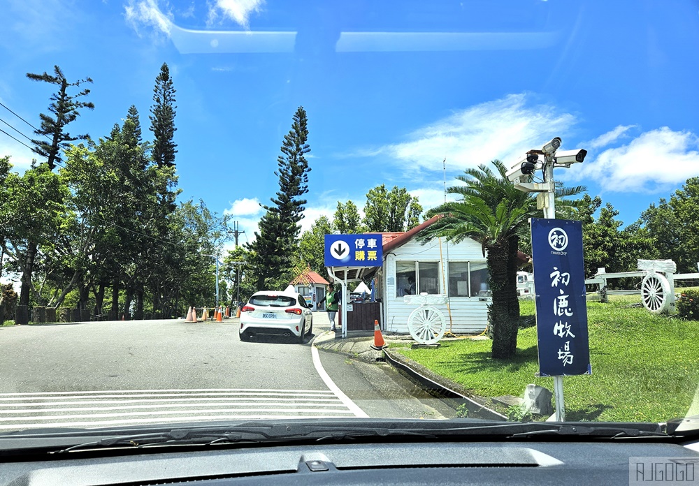 台東 初鹿牧場 台灣最大坡地型牧場 牛奶霜淇淋好吃