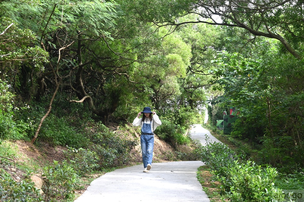 馬祖旅遊 大漢據點、北海坑道遊船 夏天夜賞藍眼淚