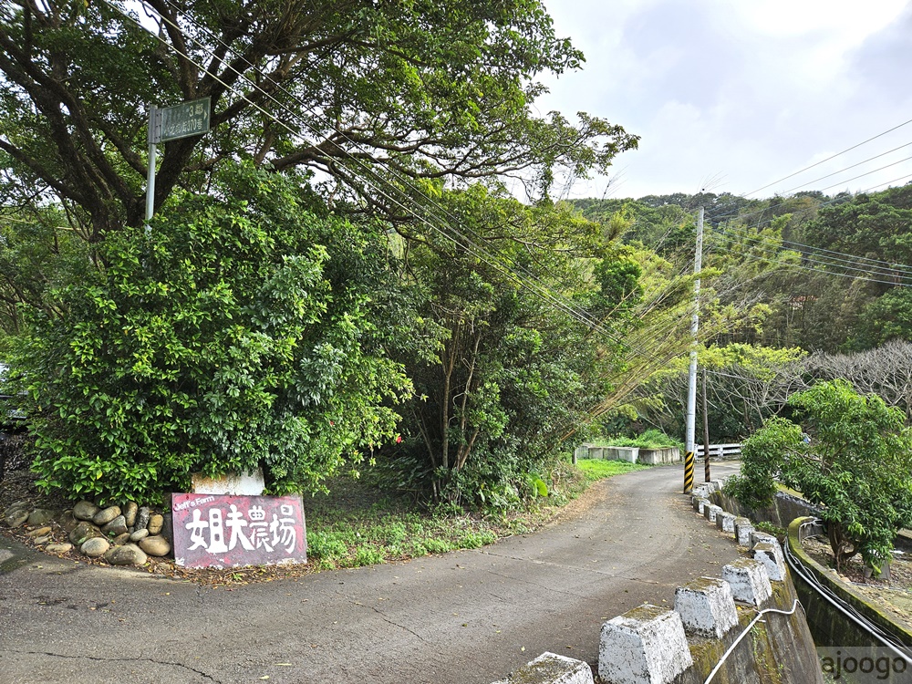 2025桃園景點 姐夫農場 小雞出租 桃園親子農場推薦 走進在地農家