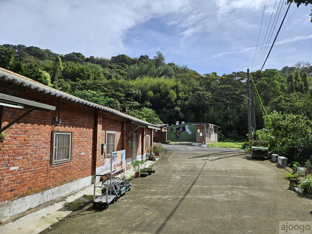 2025桃園景點 姐夫農場 小雞出租 桃園親子農場推薦 走進在地農家