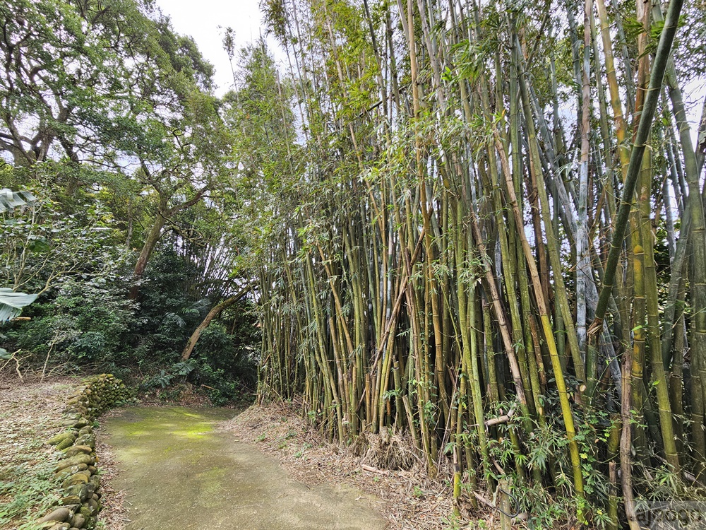 2025桃園景點 姐夫農場 小雞出租 桃園親子農場推薦 走進在地農家