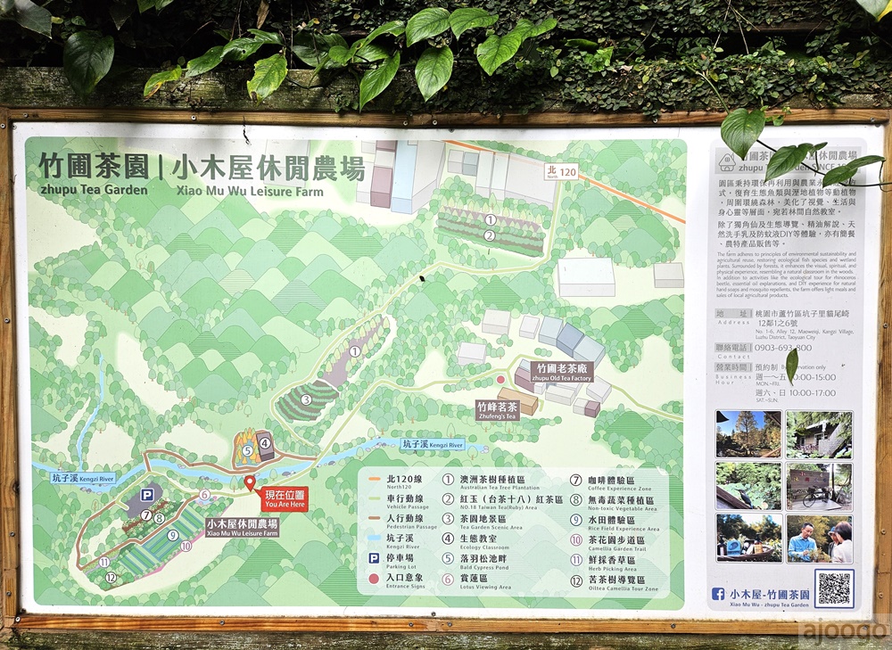 2025桃園景點 小木屋休閒農場-竹圃茶園 林口旁的秘境茶園農莊 茶樹精油DIY與特色套餐