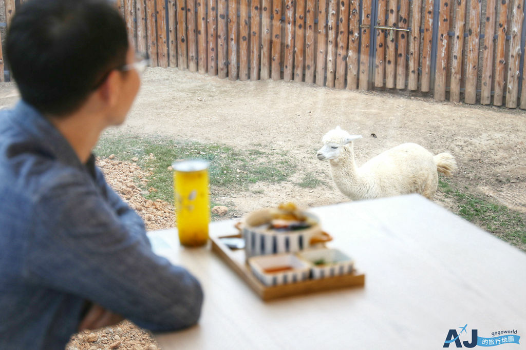 新竹市立動物園-森林食堂及野餐市集 新竹超人氣景觀咖啡館 吃點心看羊駝 菜單、營業時間分享