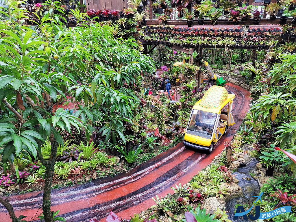 2025沖繩景點 名護鳳梨公園 沖繩親子雨天旅遊備案