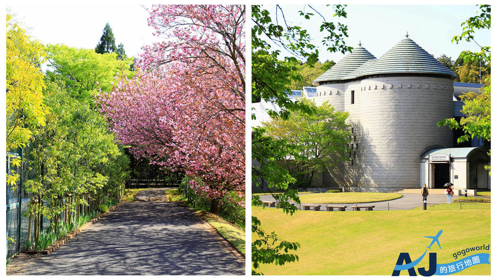 2025東京景點 DIC川村紀念美術館 千葉縣佐倉市人氣美術館/賞櫻庭院