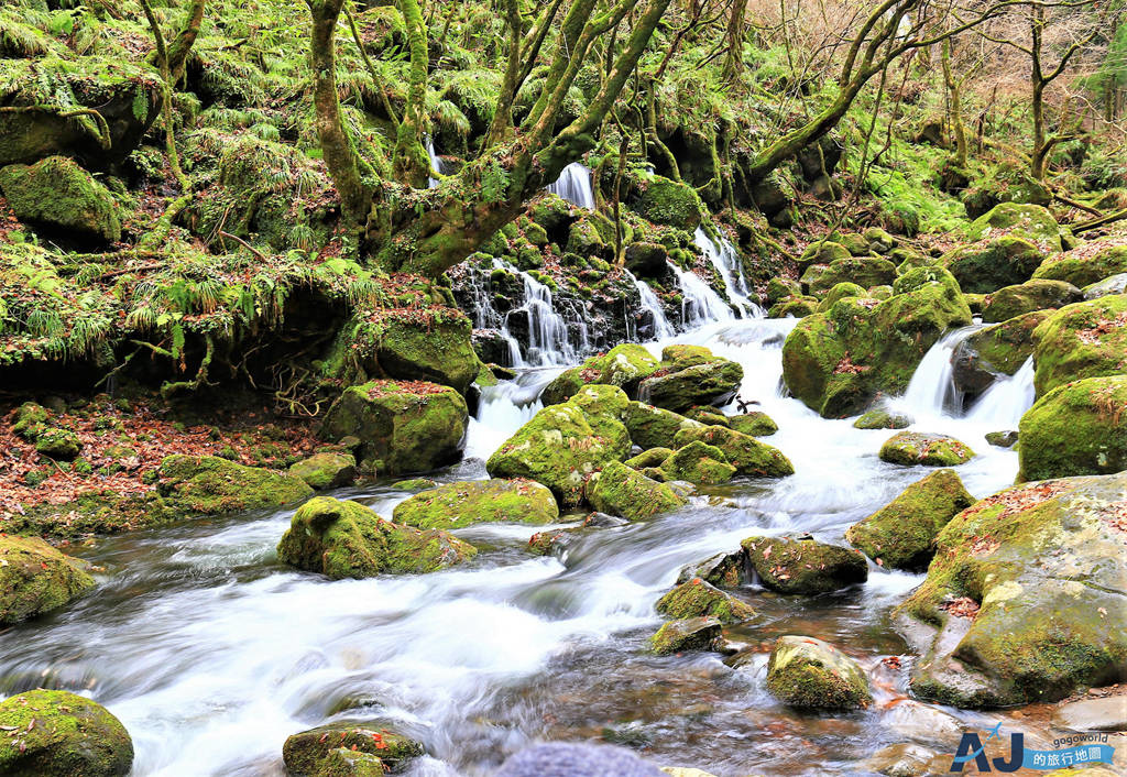 山形秋田鳥海山地區自駕景點：釜磯湧水、牛渡川、丸池様、鳥海山大物忌神社、元滝伏流水、奈曽白滝