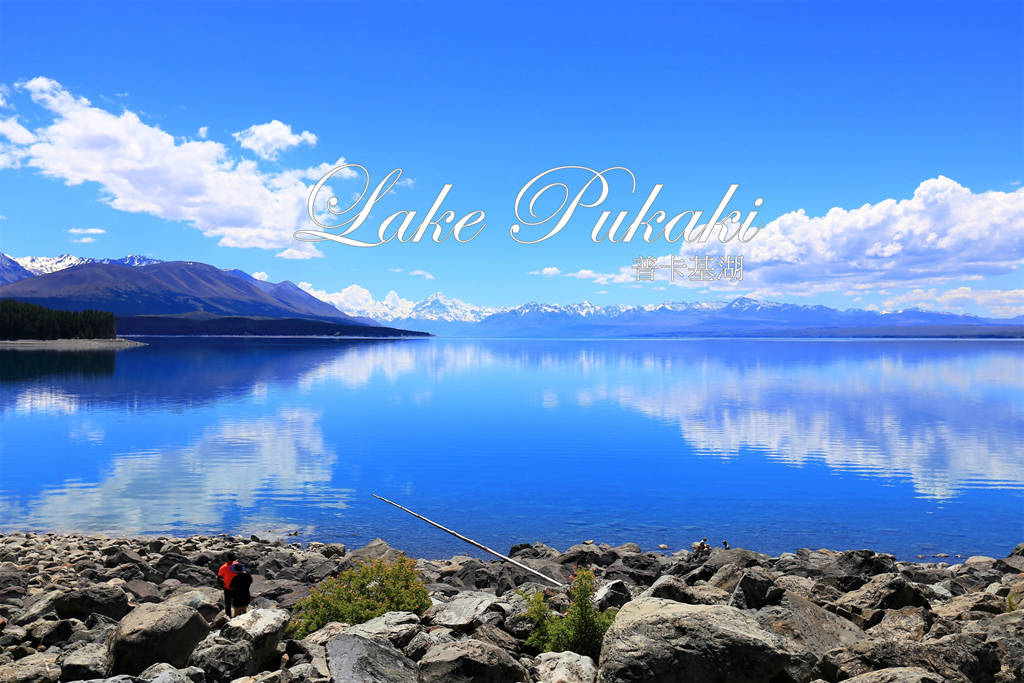 紐西蘭南島 普卡基湖 Lake Pukaki 公路旅行絕美休息站 還要吃鮭魚