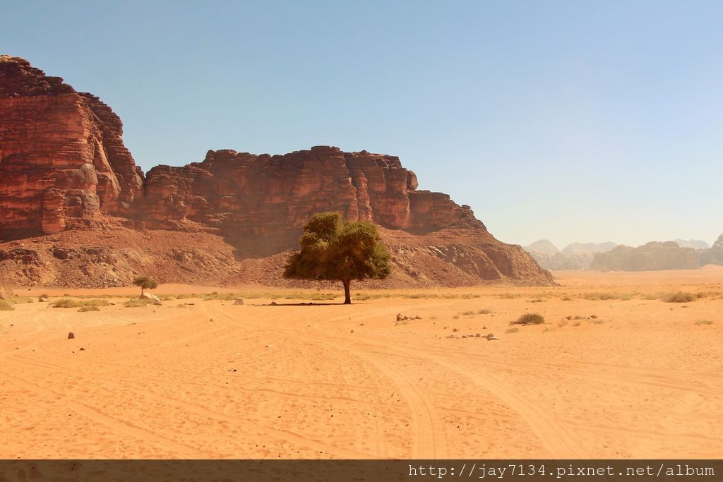 （約旦Wadi Rum月亮谷遊記）Wadi Rum tour推薦：Bedouin Lifestyle Camp